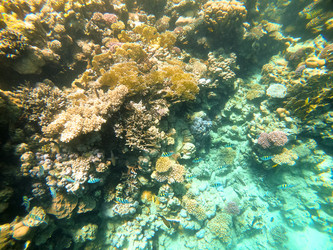 Similar image 22186385