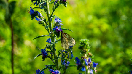 Similar image 22179341