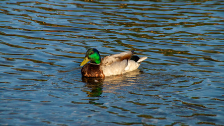 Similar image 22179343