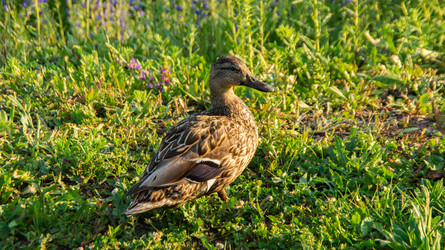 Similar image 22179344