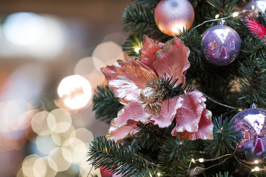 Similar image 22179345