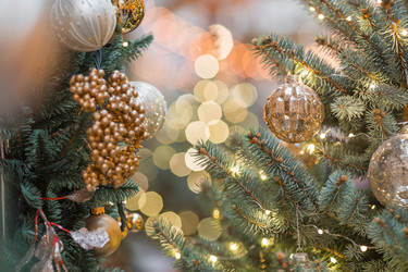 Similar image 22179641