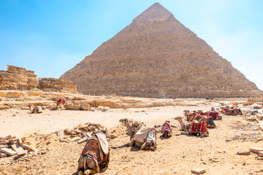 Similar image 22186637