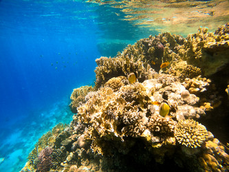 Similar image 22186640