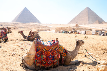 Similar image 22186641