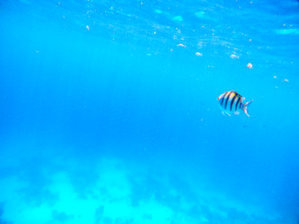 Similar image 22186642