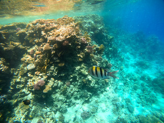 Similar image 22186645