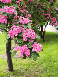 Similar image 22179371