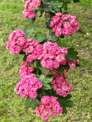 Similar image 22179372