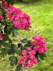 Similar image 22179373