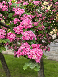 Similar image 22179374