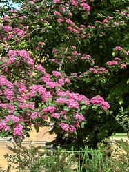 Similar image 22179376