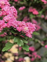 Similar image 22179377