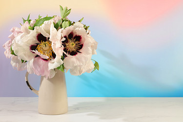 Similar image 22179380