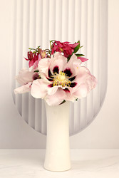 Similar image 22179384