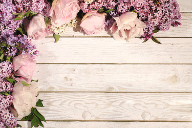 Similar image 22179387