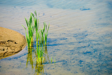 Similar image 22180768