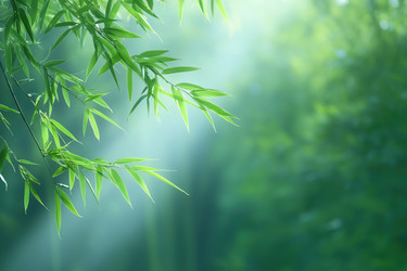 Similar image 22179749