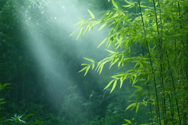 Similar image 22179750