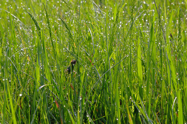 Similar image 22180851