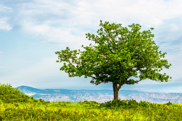 Similar image 22186391