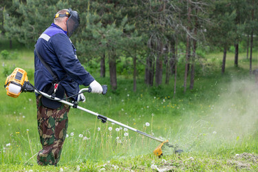 Similar image 22186513