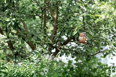 Similar image 22186520