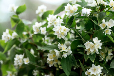 Similar image 22186521