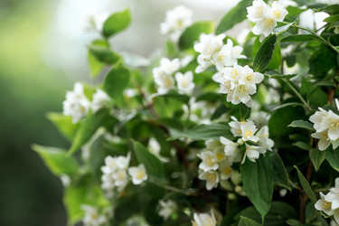 Similar image 22186522