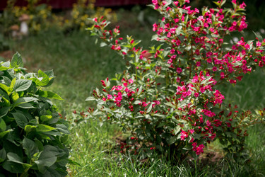 Similar image 22186523