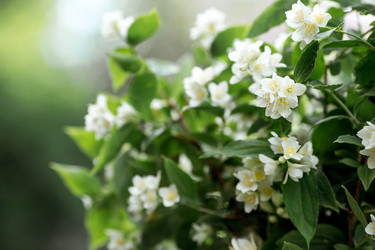 Similar image 22186524