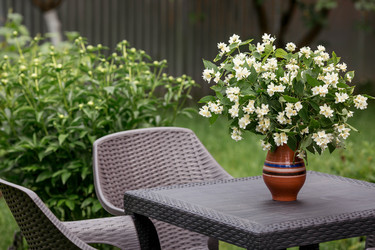 Similar image 22186526