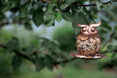 Similar image 22186527