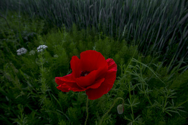 Similar image 22188711