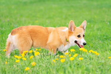 Similar image 22179469