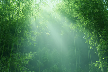 Similar image 22179792