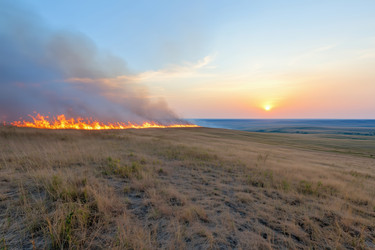 Similar image 22179794