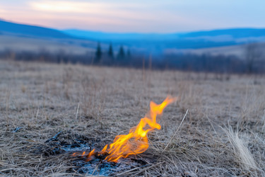 Similar image 22179799