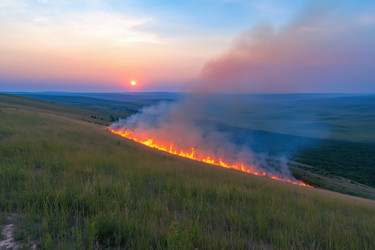 Similar image 22179806