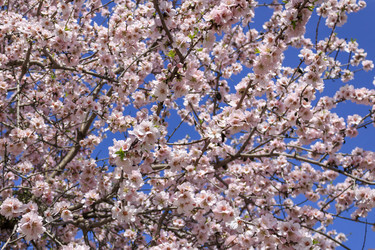 Similar image 22179472