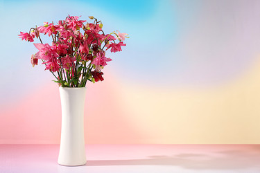 Similar image 22179483