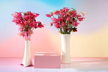 Similar image 22179488