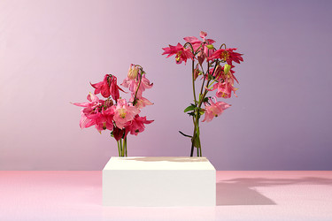 Similar image 22179489