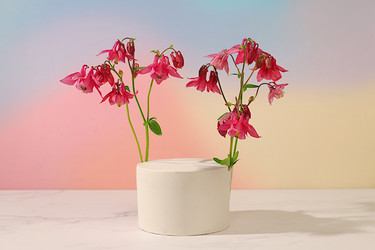 Similar image 22179493