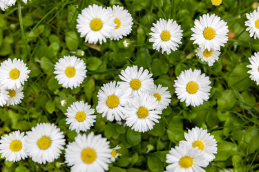 Similar image 22180521