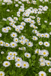 Similar image 22180522