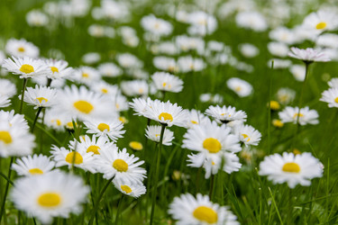 Similar image 22180523