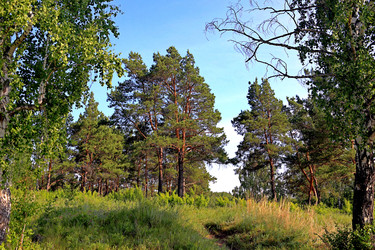 Similar image 22181434