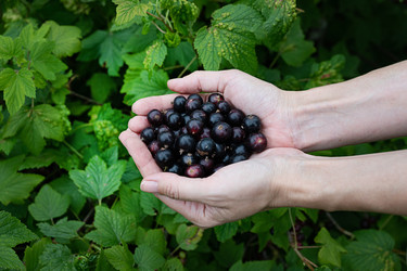 Similar image 22186990