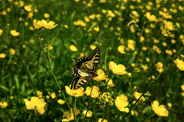 Similar image 22179841